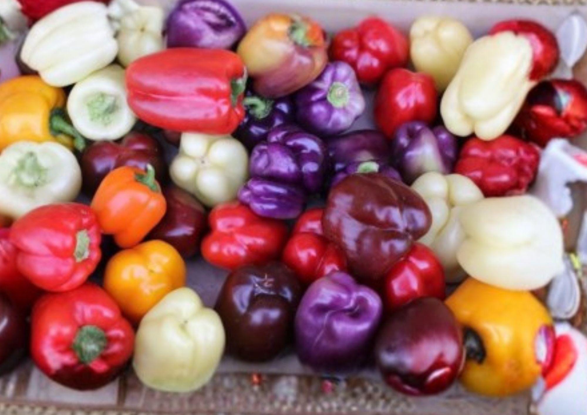 Rainbow Bell Pepper Seeds 7 Color Varieties, Sweet Pepper Seeds, Non-GMO, Heirloom, High Yield, Garden Planting, BloomHavenNursery