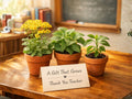 Teacher Appreciation Seed Bundle – Heirloom Non-GMO Golden Ragwort, Wild Ginger, Chili Pepper Seeds for Gardening Gift