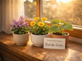 Teacher Gift Seed Bundle - Heirloom Non-GMO Garden Kit with Lilac, Arnica, Winter Melon Seeds