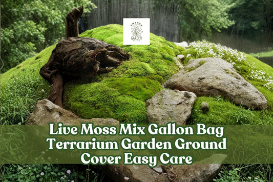 Live Moss Mix Gallon Bag | Assorted Green Varieties for Terrariums & Ground Cover