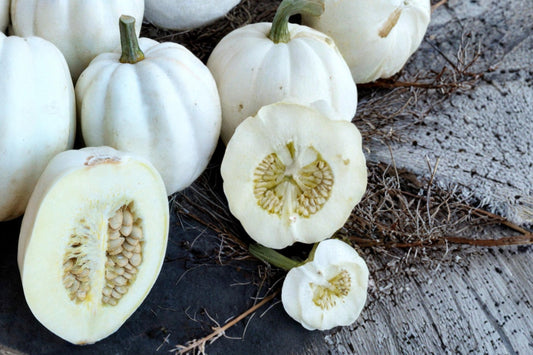 Mashed Potato Squash Seeds – Cucurbita pepo White Winter Squash for Cooking & Garden Display
