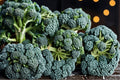 Broccolini Seeds – Brassica oleracea – Cool-Season Vegetable with Slender Stems and Green Florets
