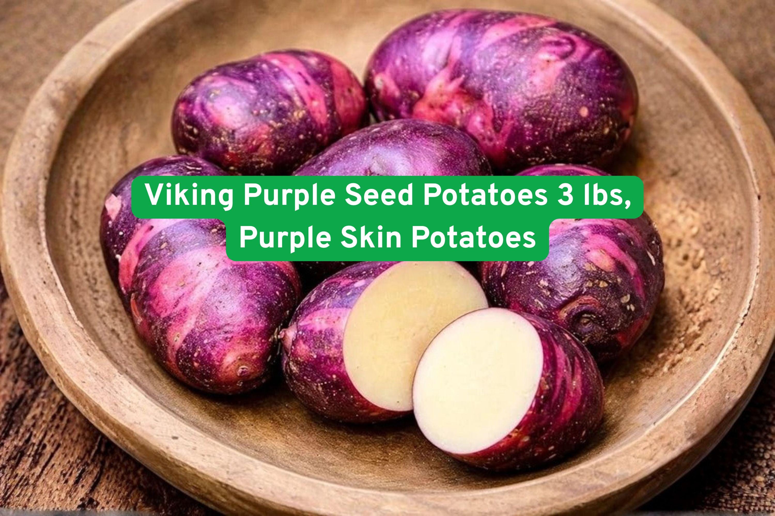 Viking Purple Seed Potatoes 3 lbs – High-Yield Organic Tubers for Garden, Edible Crops, Purple Skin, Root Vegetables, Solanum tuberosum