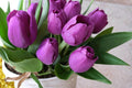 Purple Tulip Bulbs – Tulipa, Spring Flowering, Perennial Bulb, Garden & Container Plant, Purple Blooms, 10 Bulbs
