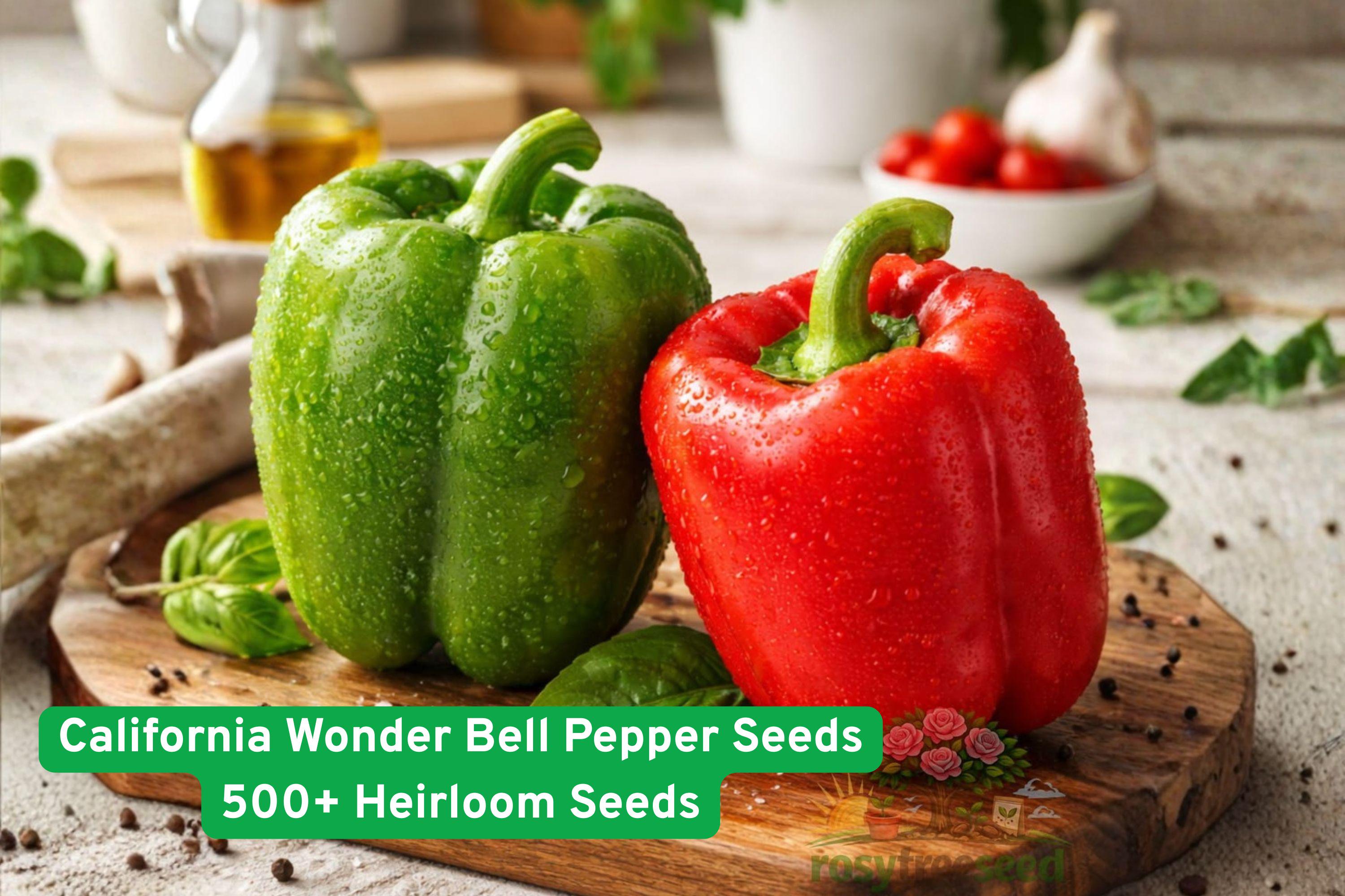 California Wonder Bell Pepper Seeds – Heirloom, Large, Sweet, Capsicum annuum, 500+ Seeds