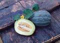 Early Valencia Melon Seeds, Winter Honeydew, Heirloom Sweet Melon, Juicy Green Flesh Fruit, Garden Planting, Easy to Grow