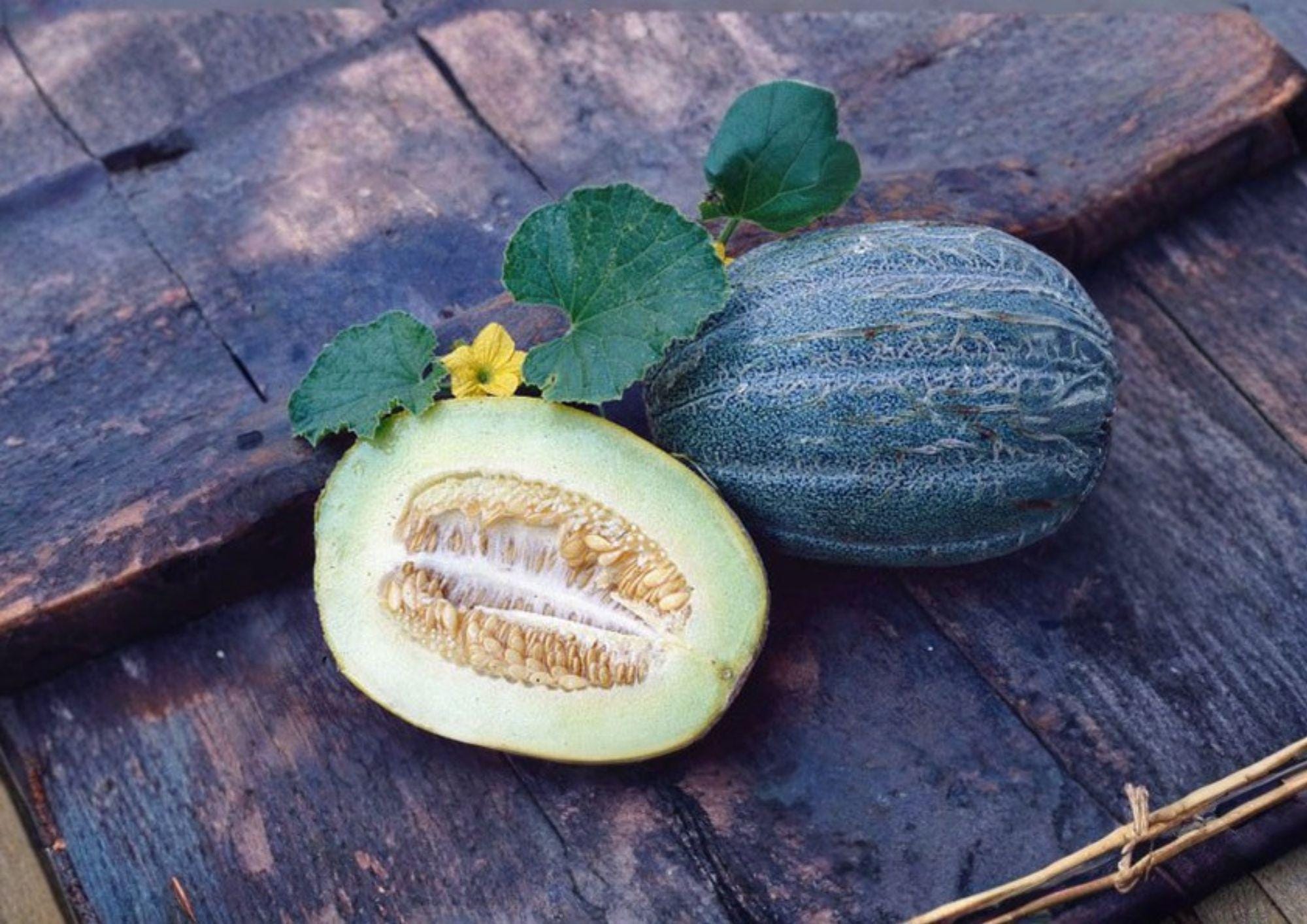 Early Valencia Melon Seeds, Winter Honeydew, Heirloom Sweet Melon, Juicy Green Flesh Fruit, Garden Planting, Easy to Grow