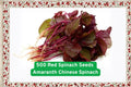 Red Amaranth Seeds – Fast-Growing Edible Leafy Green, Nutritious Superfood, Red Foliage, Amaranthus tricolor, 500 Seeds