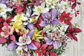 Columbine Seeds Mix – Aquilegia vulgaris Perennial Wildflower for Borders & Pollinator Gardens