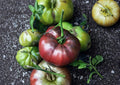 Brown Berry Tomato Seeds – Heirloom Non-GMO Small Cherry Tomatoes, Sweet Rich Flavor, Garden Planting, 30+ Seeds