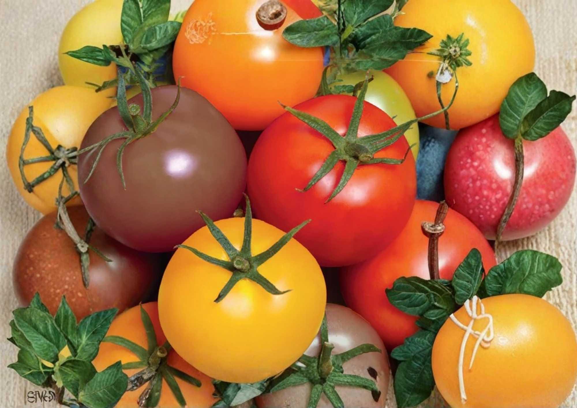 Rainbow Cherry Tomato Seeds, Heirloom Non-GMO, Colorful Mix, Sweet High Yield Vegetable Seeds for Garden Planting