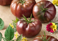 Black Prince Tomato Seeds – Heirloom Non-GMO Vegetable Seeds for Garden, Dark Purple Red, Sweet Flavor, Medium Variety