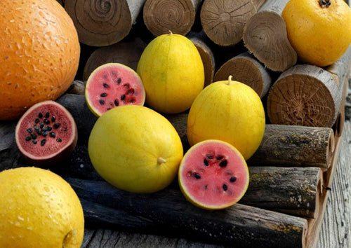 12 Golden Midget Watermelon Seeds – Heirloom Organic Non-GMO Mini Yellow Skin Watermelon Fruit Seeds for Garden Planting