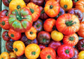 Rainbow Beefsteak Tomato Seeds – Heirloom Non-GMO Vegetable Seeds for Garden, Colorful Large Slicing Tomatoes, Sweet Juicy, Easy to Grow