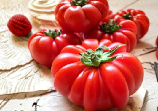 Oaxacan Pink Tomato Seeds, Heirloom Mexican Vegetable Seeds, Large Pink Beefsteak, Juicy, High Yield, Garden Planting, Rare Tomato Variety