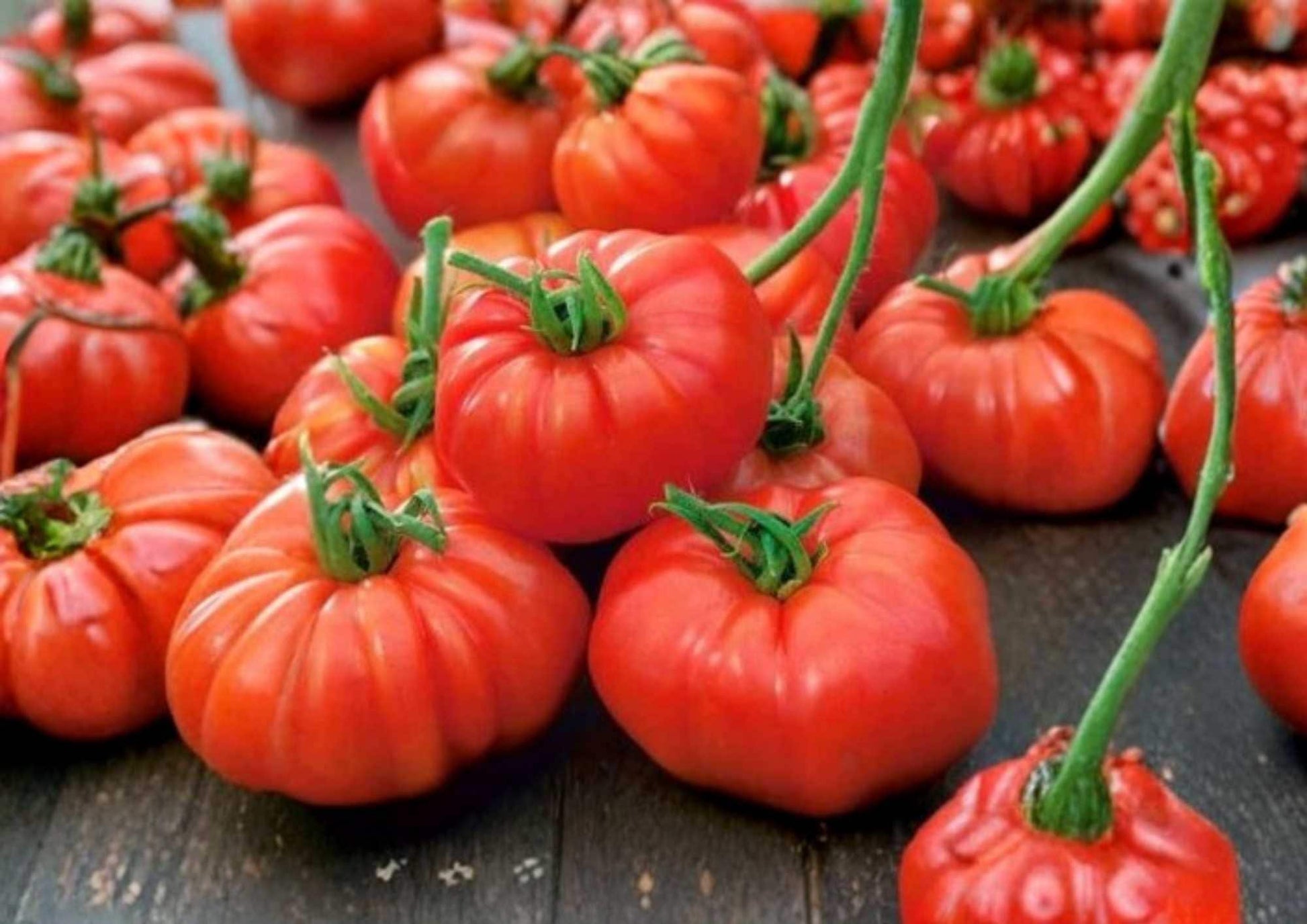 Jersey Beefsteak Tomato Seeds – Heirloom Non-GMO Vegetable Seeds for Garden, Large Red Juicy Slicing Tomatoes, High Yield Variety