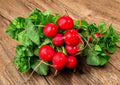 Cherry Belle Radish Seeds – 300+ Non-GMO Heirloom Vegetable Seeds for Garden, Bright Red, Crisp, Fast-Growing Radish Variety