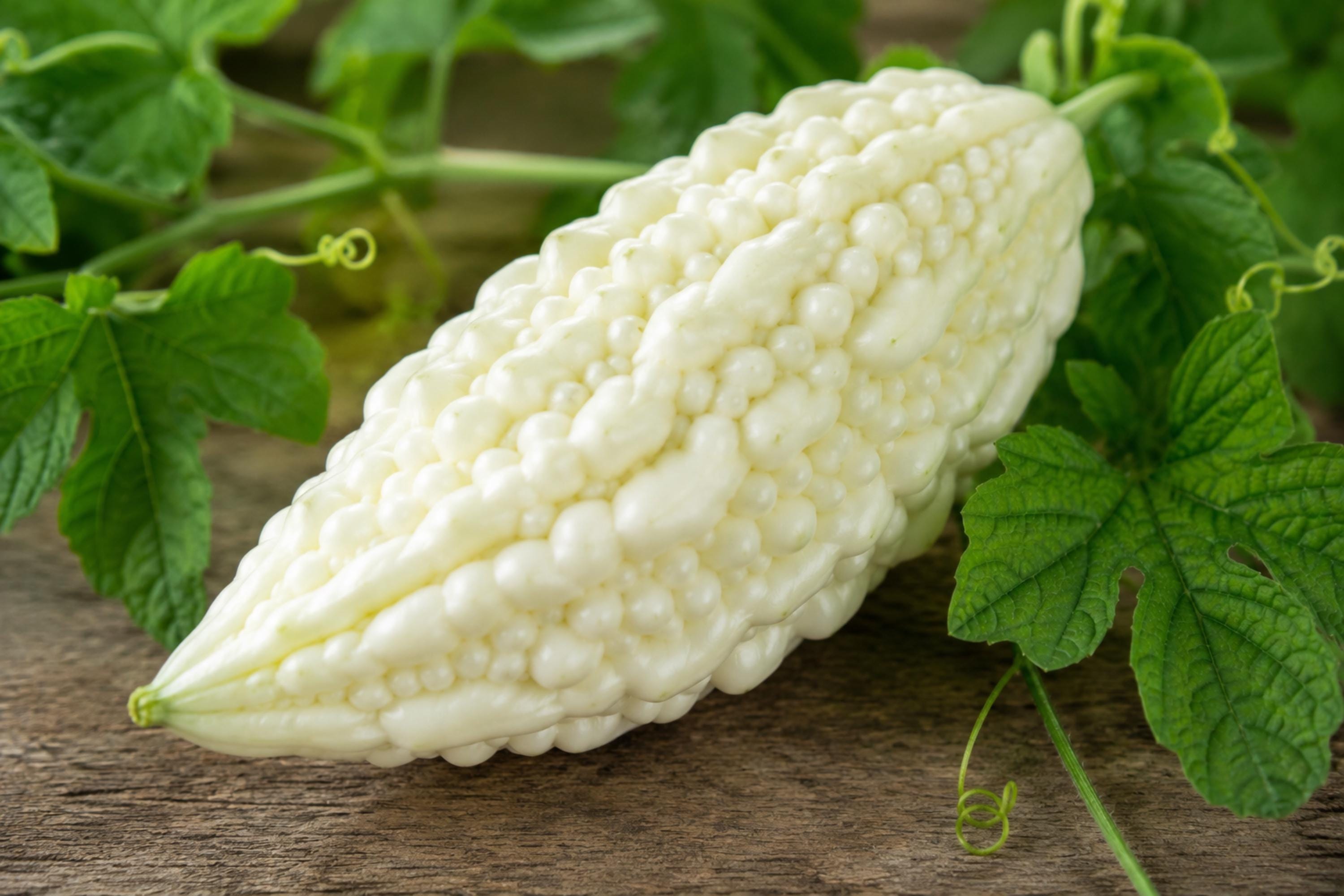 White Bitter Gourd Hybrid Seeds – Milder Flavor Asian Vegetable, Momordica charantia, 5 Seeds