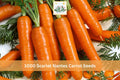 1000+ Scarlet Nantes Carrot Seeds Daucus carota Heirloom Vegetable Garden Crop for Outdoor Planting