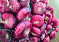 Red Burgundy Onion Seeds – Heirloom Vegetable Seeds for Garden Planting, Deep Red Bulb, Sweet Mild Flavor, High Yield Variety