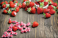 Cavendish Strawberry Roots – Fragaria × ananassa – Fruit Plant for Garden Beds & Containers