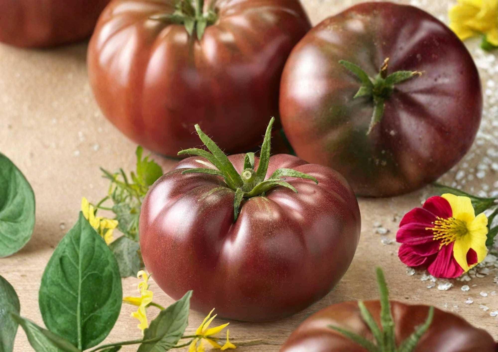 Black Krim Tomato Seeds – Heirloom Organic Non-GMO Vegetable Seeds for Garden Planting, Russian Dark Purple Tomato, Rich Flavor, High Yield