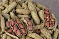 Tennessee Red Peanut Seeds – Arachis hypogaea, Edible Legume, Home Garden, Full Sun, 20 Seeds