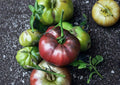 Black From Tula Tomato Seeds – Heirloom Russian Dark Beefsteak Variety for Garden Planting, Rich Smoky Sweet Flavor, 120+ Seeds