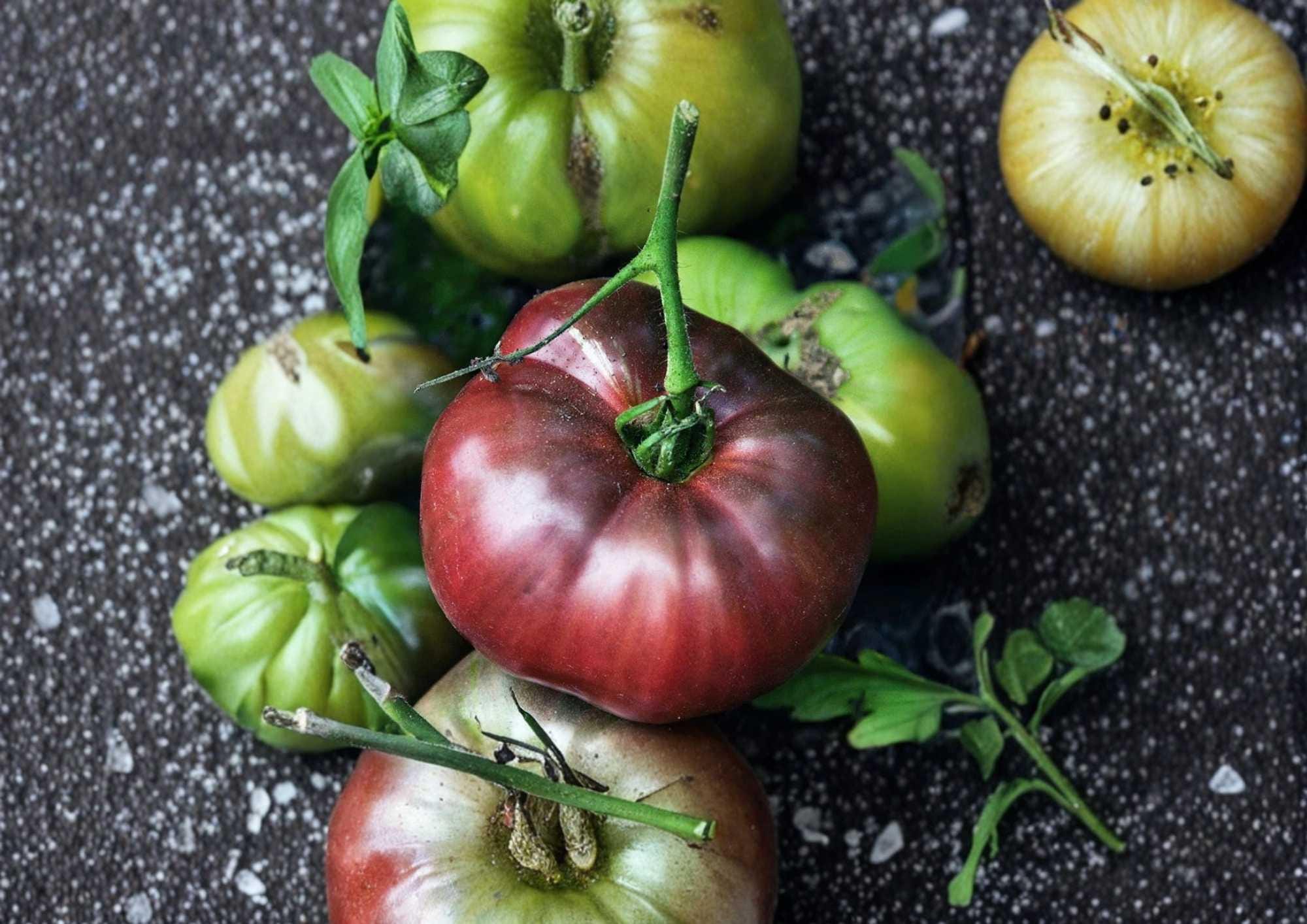 Black From Tula Tomato Seeds – Heirloom Russian Dark Beefsteak Variety for Garden Planting, Rich Smoky Sweet Flavor, 120+ Seeds