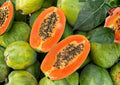 Papaya Seedling 12–24 Inches Tall – Carica papaya – Tropical Fruit Plant for Garden or Container Cultivation