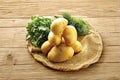 German Butterball Seed Potatoes – 3 Pounds Heirloom Solanum tuberosum for Garden Planting