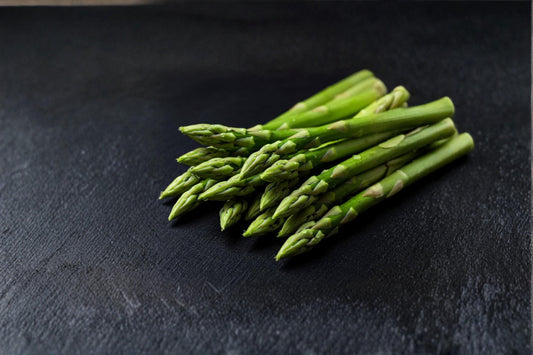 Jersey Giant Asparagus Plants – 2 Bare Root Crowns – Perennial Edible Vegetable – Asparagus officinalis for Home Garden