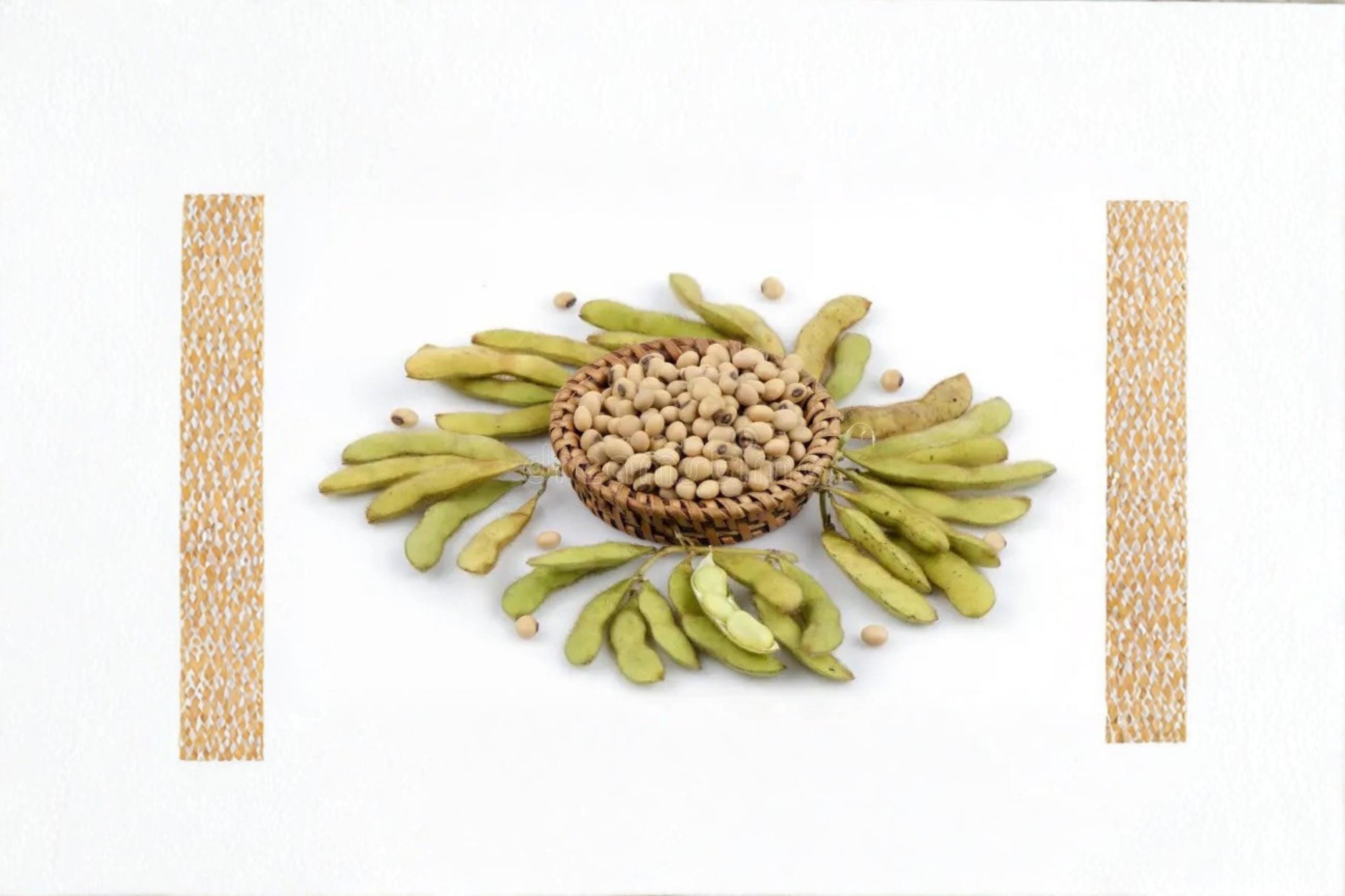 Soybean Meal 2, Agricultural Byproduct, Soil Conditioner & Livestock Feed, Glycine max