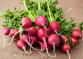 German Giant Radish Seeds, Heirloom Non-GMO Vegetable Seeds for Garden Planting, Large Red Crisp Roots, Radish Variety