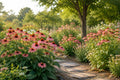 Pink Coneflower Seeds - Echinacea purpurea, Long-Blooming Perennial for Pollinator Gardens, Butterfly and Bee Attractant