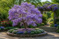 Purple Wisteria Seeds – Climbing Vine, Fragrant Blooms, Wisteria sinensis, Garden, Trellis, Landscape Plant