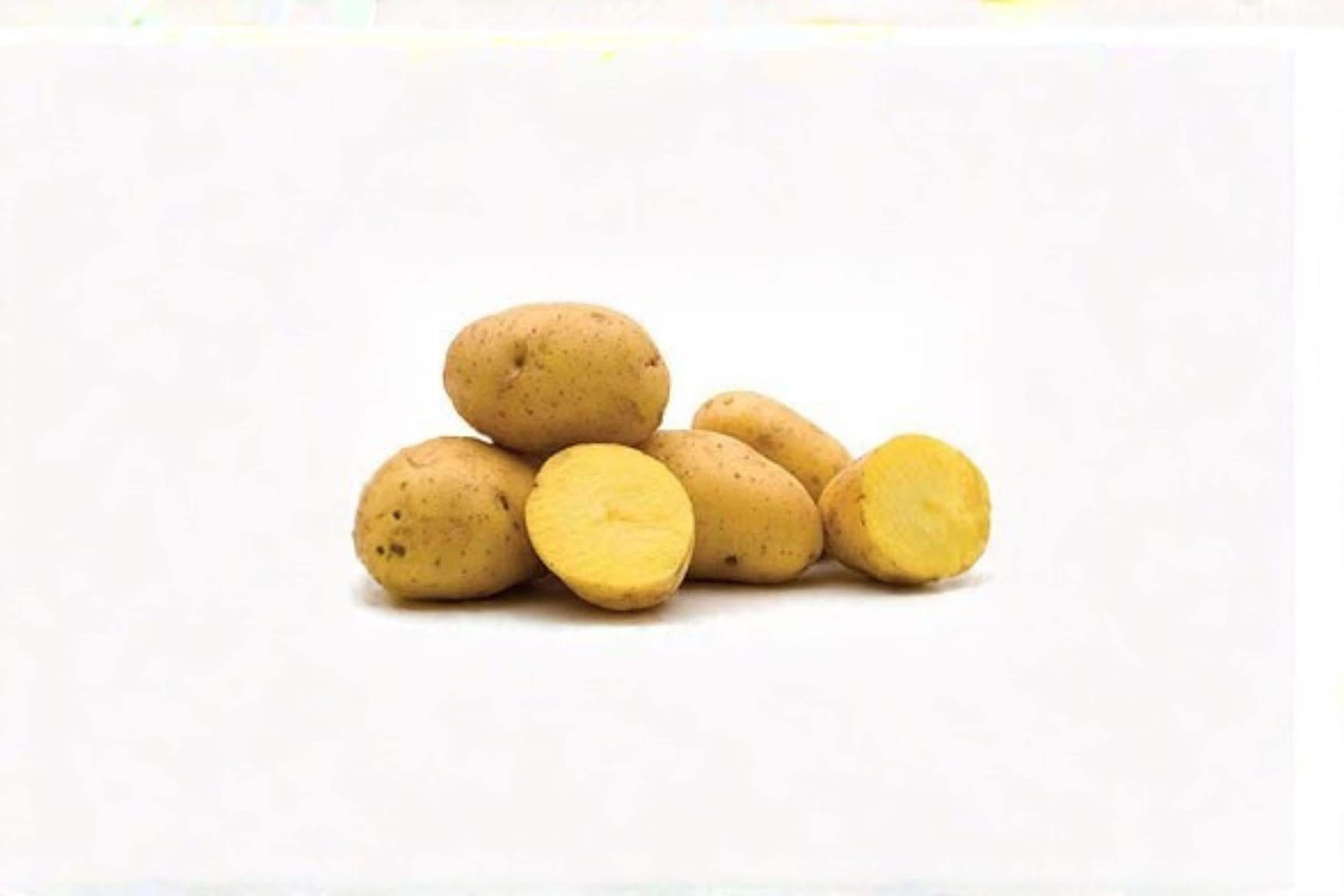 Yukon Gold Potato Tuber – Solanum tuberosum, Yellow-Fleshed Garden Root Crop for Planting, Edible Vegetable Seed