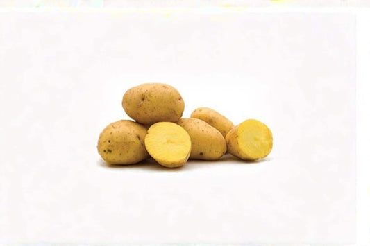 Yukon Gold Potato Tuber – Solanum tuberosum, Yellow-Fleshed Garden Root Crop for Planting, Edible Vegetable Seed