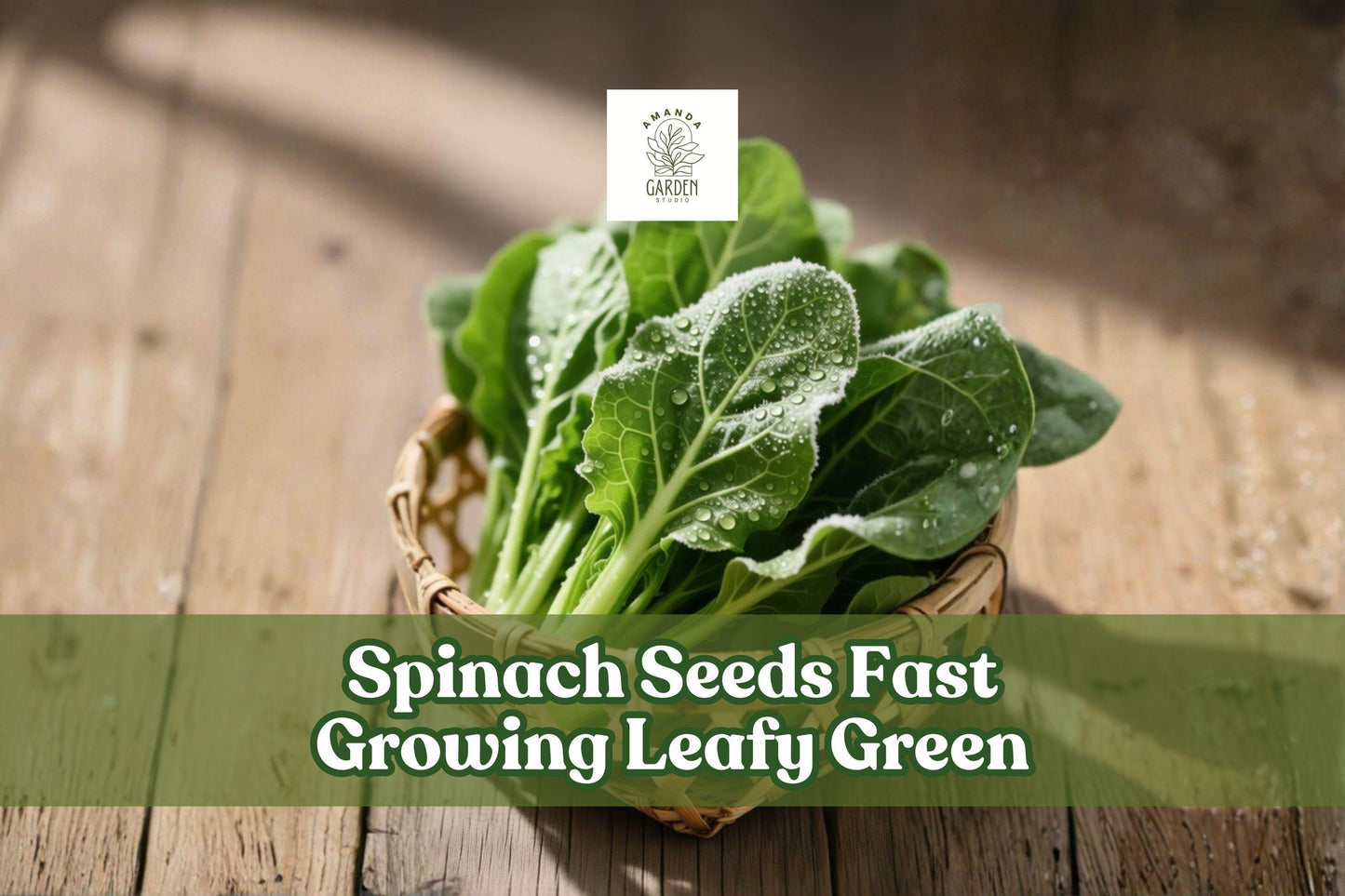 1000 Spinach Seeds, Fast-Growing Leafy Green Vegetable, Spinacia oleracea, Home Garden, Container & Raised Bed Gardening