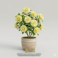 Lemon Glow Camellia Japonica Starter Plant – Evergreen Flowering Shrub with Unique Blooms, Ornamental Foliage, Shade Garden, Rare Camellia