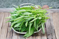 Water Spinach Seeds – 500 Ipomoea aquatica Ong Choy Leafy Vegetable for Garden, Edible, Fast-Growing, Warm Climate