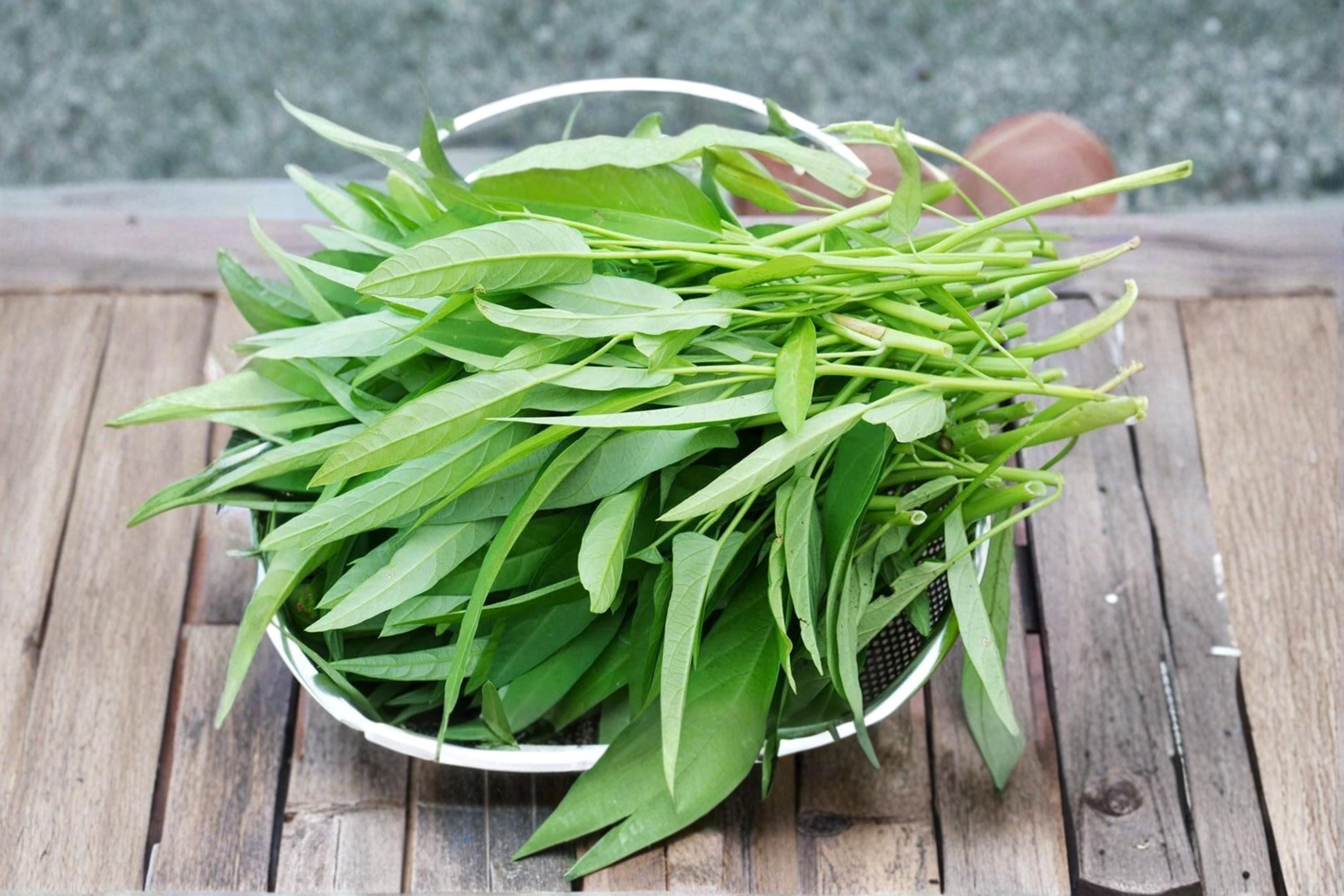Water Spinach Seeds – 500 Ipomoea aquatica Ong Choy Leafy Vegetable for Garden, Edible, Fast-Growing, Warm Climate