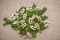 Black Locust Tree Seeds – Robinia pseudoacacia, Deciduous Flowering Tree, Landscape & Garden Plant, 50 Seeds