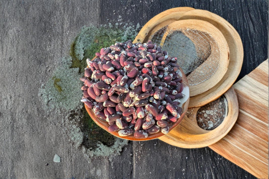 Jacob's Cattle Bean Seeds – Heirloom Phaseolus vulgaris, Multi-Purpose Dry, Shell, and Green Bean Seeds