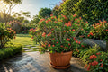 Crown of Thorns Starter Plant - Golden Bell Variety - Euphorbia milii - Indoor/Outdoor Succulent - Drought Tolerant, Easy Care