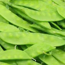 40 Seeds Snow Dwarf Sugar Grey Peas - Pisum sativum Heirloom Variety for Easy Container Gardening & Sweet Harvests