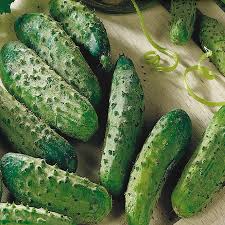 Cucumber Seeds 1g National Pickling Heirloom Variety, Disease Resistant, Crisp & Tender, Cucumis sativus for Container Gardening