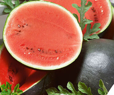Sugar Baby Watermelon Seeds - 25 Heirloom Seeds (Citrullus lanatus) - Sweet Icebox Variety for Home Gardens