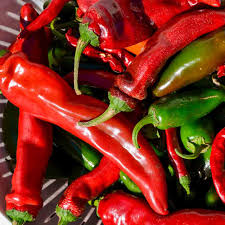 New Mexico Sandia Pepper Seeds - 25 Heirloom Non-GMO - Capsicum annuum - Mild to Medium Heat Chili for Roasting & Drying