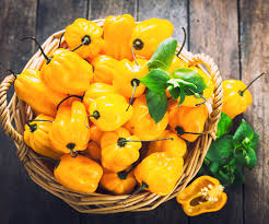 Sweet Yellow Habanero Pepper Seeds - 20 Non-GMO Heirloom Seeds, Fruity Flavor, Capsicum chinense